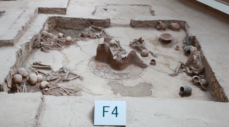 瞿昙寺项目考察组赴青海考察报告