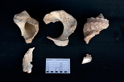 紫禁城明清建筑遗址2014年考古收获