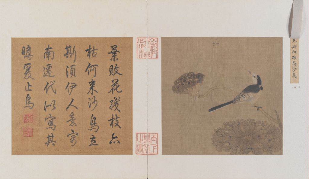 图中所绘残败的荷叶表明了时当秋日,荷塘的一角,一枝枯瘦的莲蓬横图片