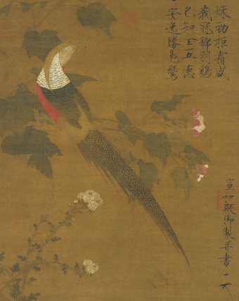 芙蓉锦鸡图