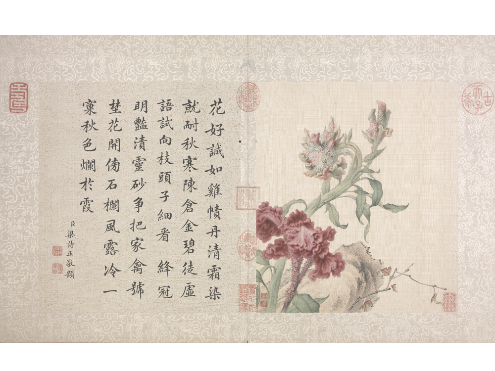郎世宁花鸟图册