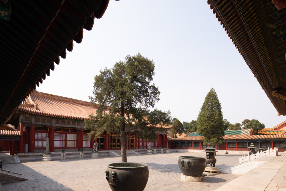 清乾隆 分类:堂 区域:内廷外东路     乐寿堂为紫禁城东北隅 宁寿宫后