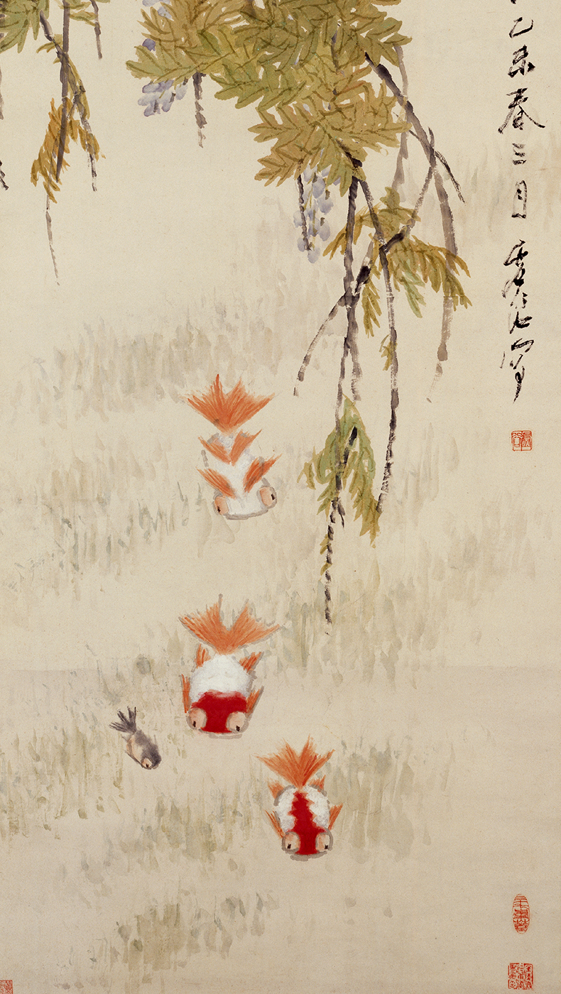 紫绶金章 当金鱼与紫藤一同出现,还有别样的寓意.