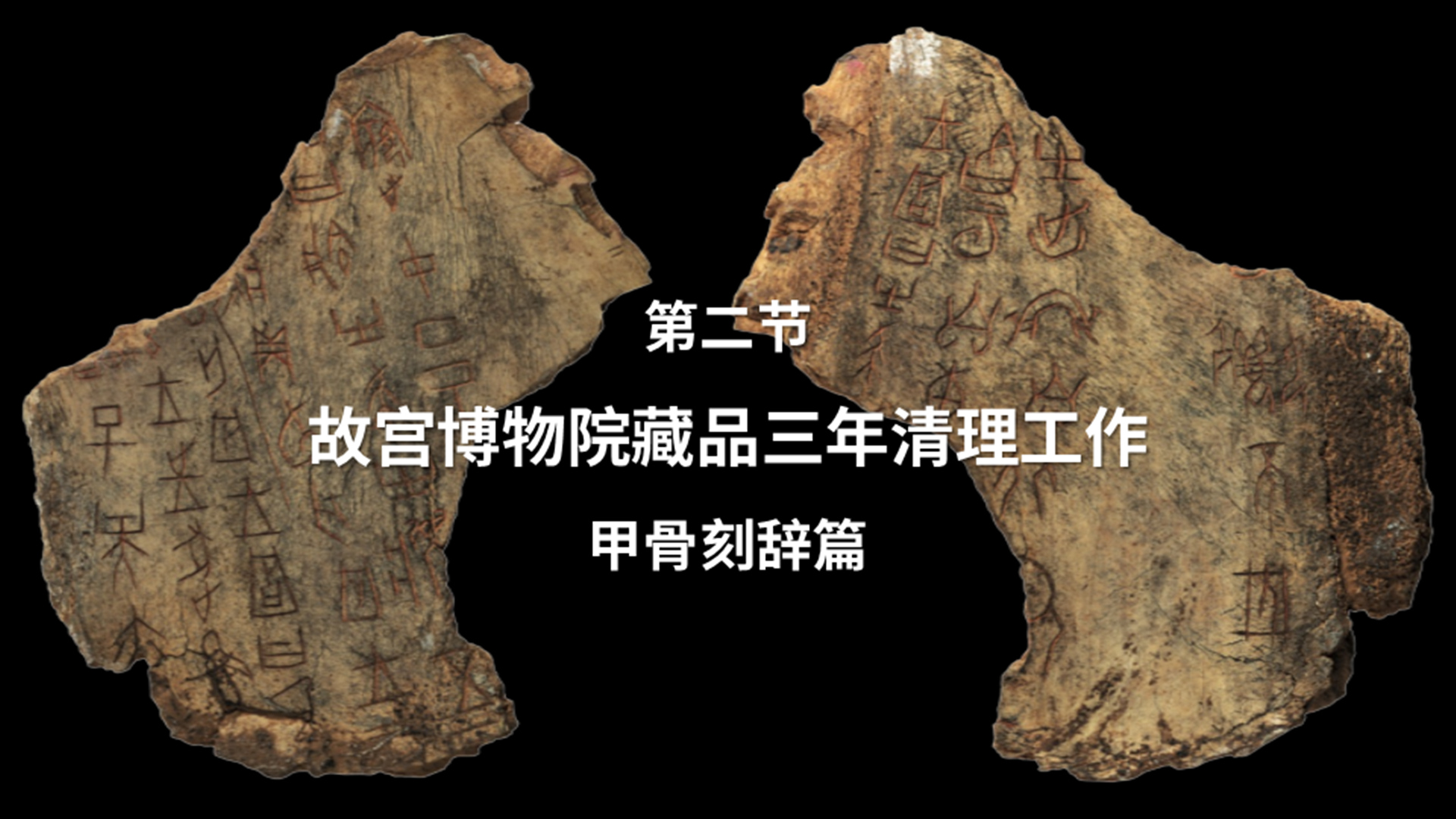 第二节：故宫博物院藏品三年清理工作——甲骨刻辞篇