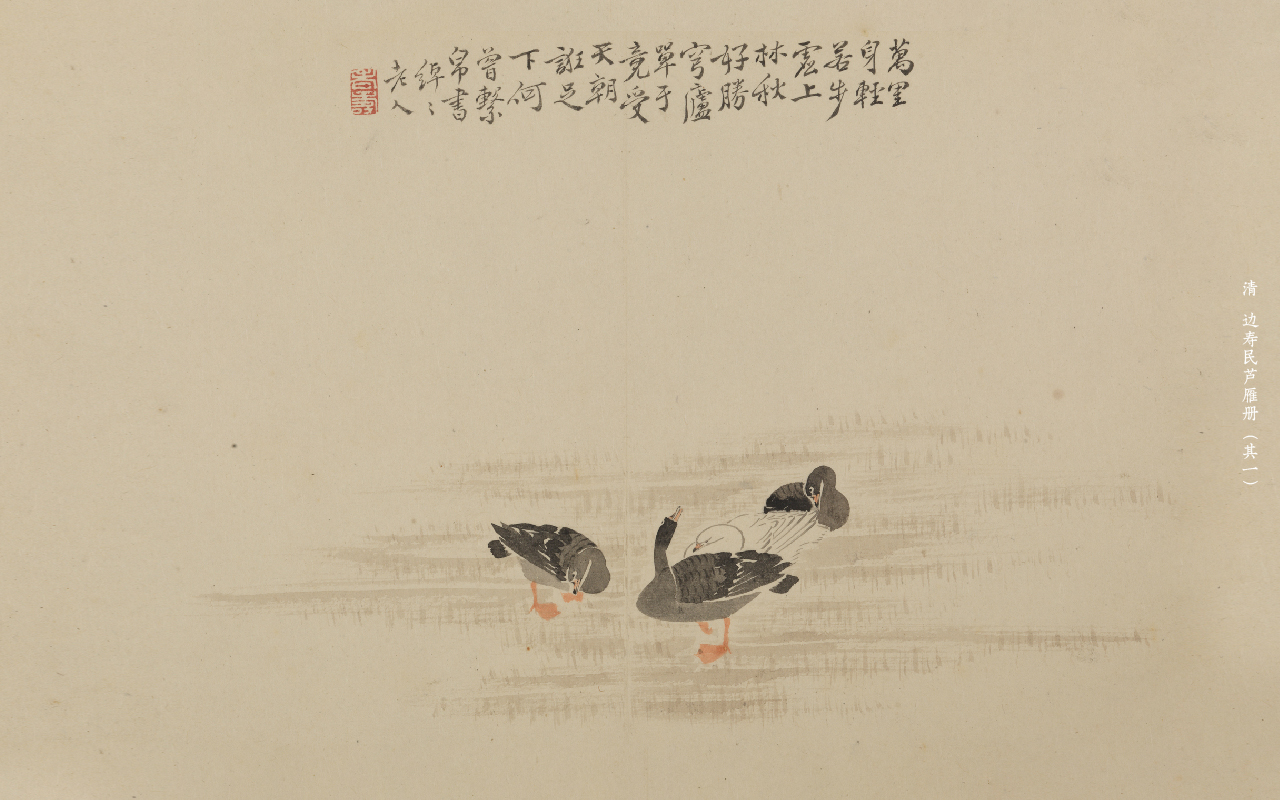 清 边寿民芦雁册（其一）