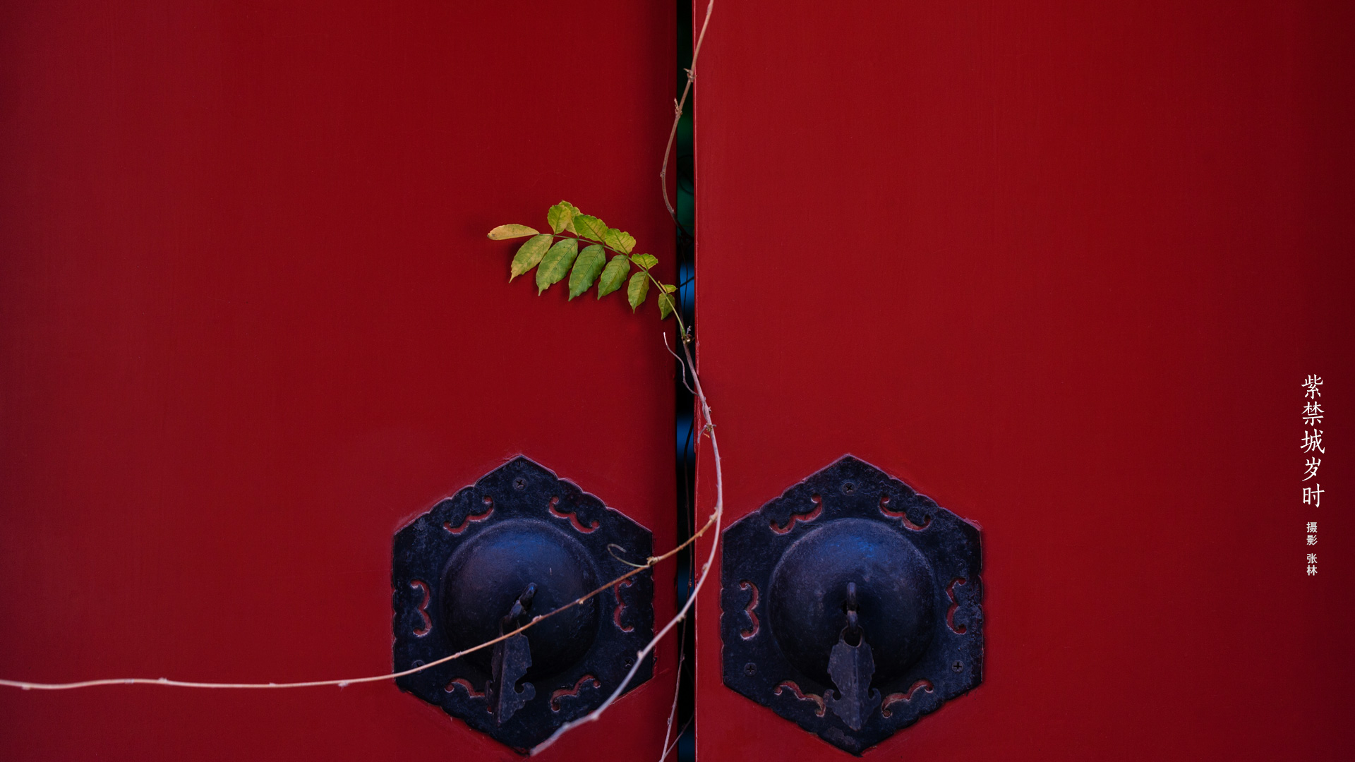 紫禁城岁时 - 故宫博物院 - 故宫壁纸