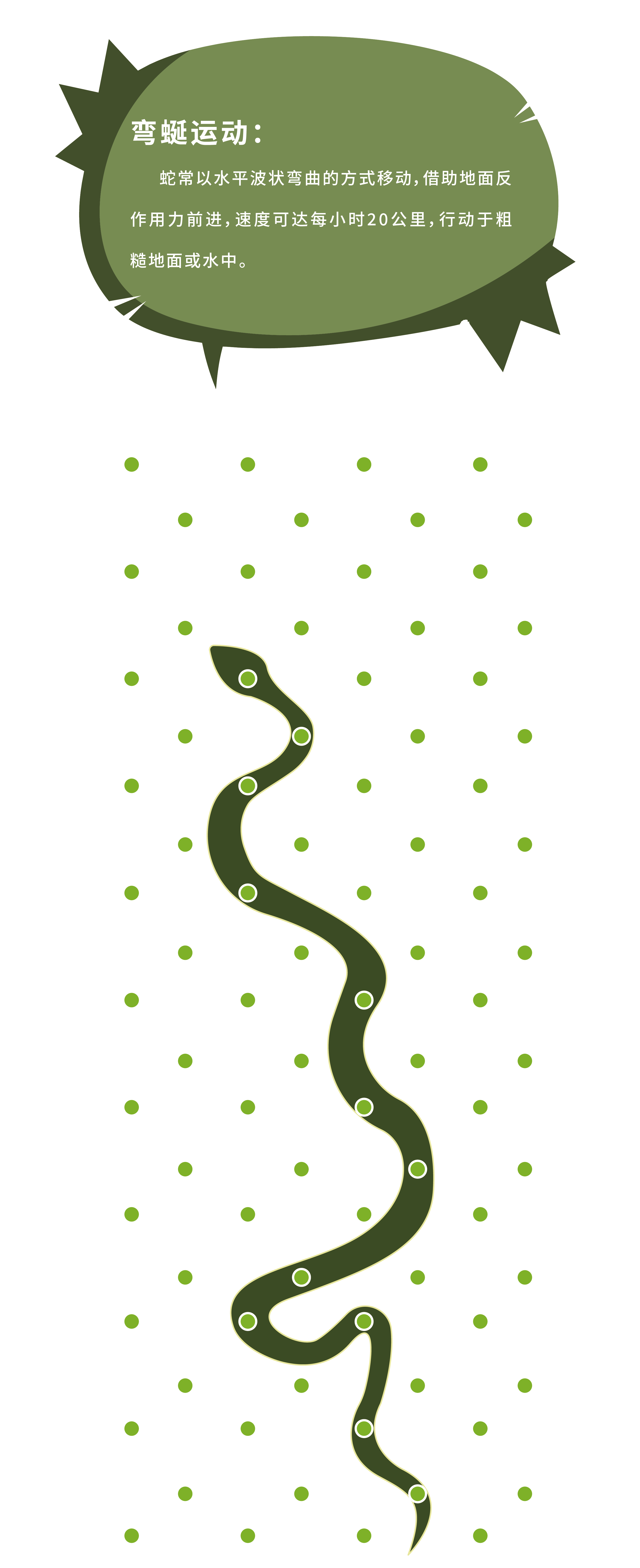 弯蜒运动.png