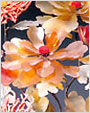 牛角花