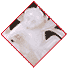 白玉双猿献寿山子