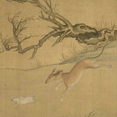 十犬图册