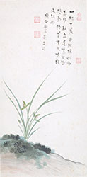 张伯驹先生绘《兰草图》