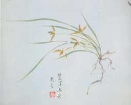楚泽流芳