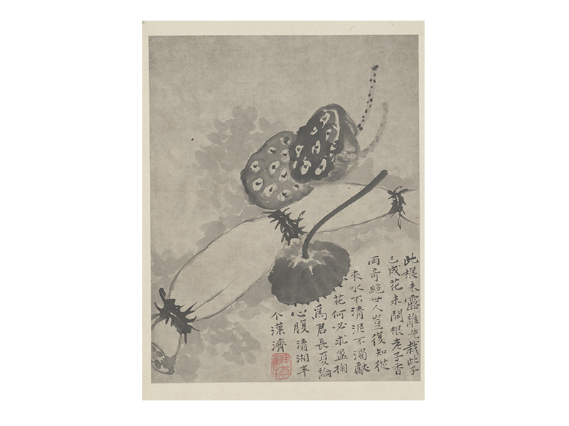 石涛墨醉杂画图册