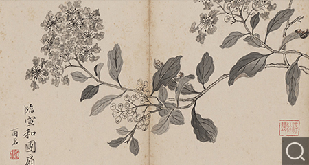 花卉册
